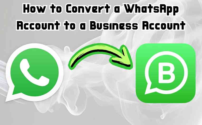 How to Convert WhatsApp Account to Business Account? [2024]