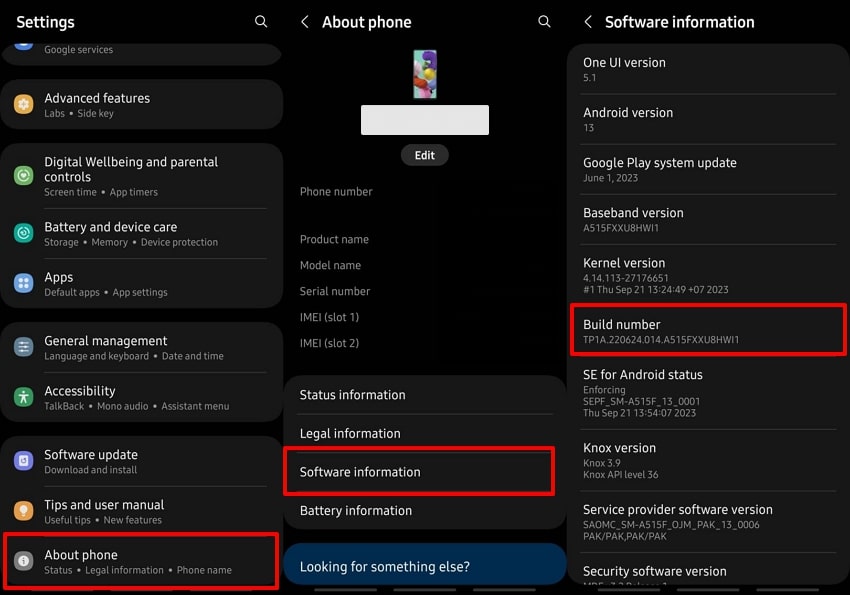 explore build number from software information 