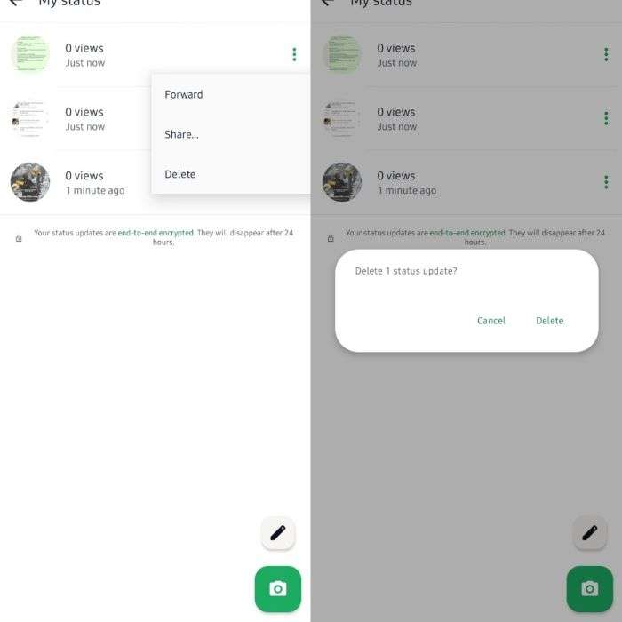 deleting whatsapp status before 24 hours 