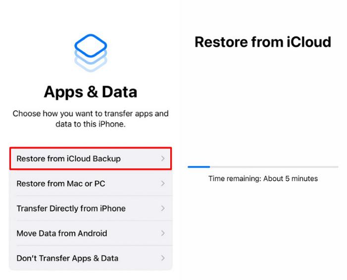 use restore from icloud backup option 