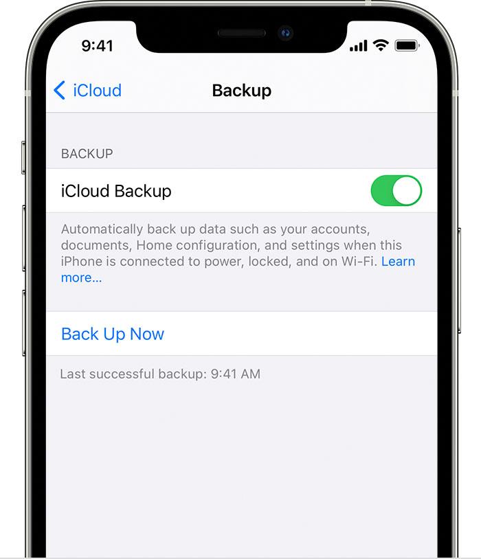 enable icloud backup 