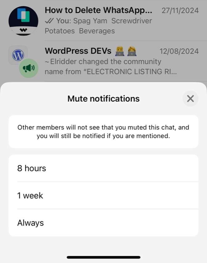 mute WhatsApp group options 