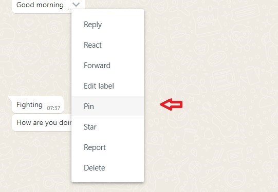 click on pin from the options to pin a message in whatsapp