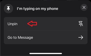 hold the pinned message and tap on unpin