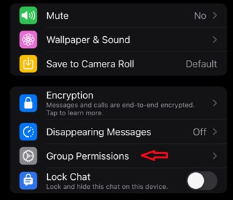 Selecione Permissões do grupo para fixar uma mensagem do WhatsApp