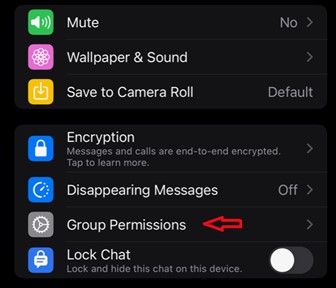 sélectionner les autorisations de groupe pour épingler un message whatsapp