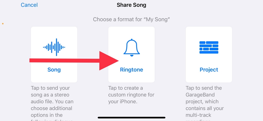 choose ringtone option