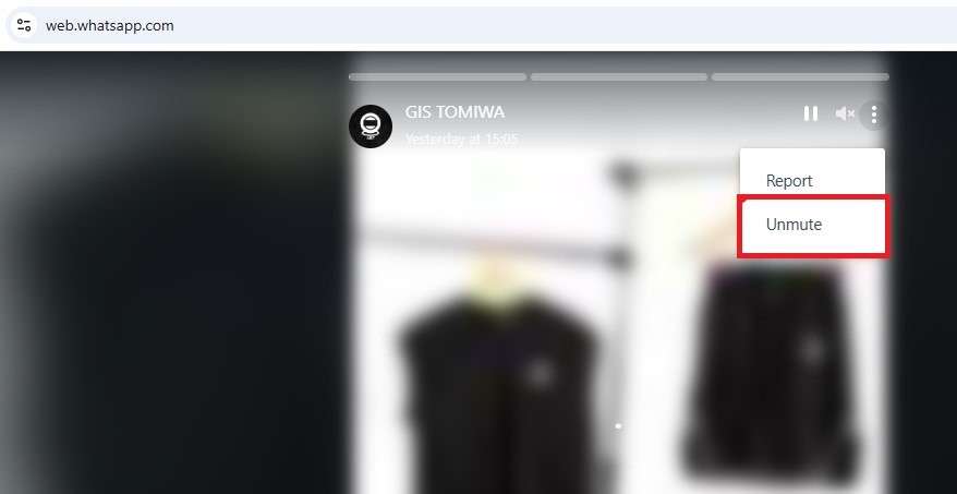 how to unmute whatsapp status on pc