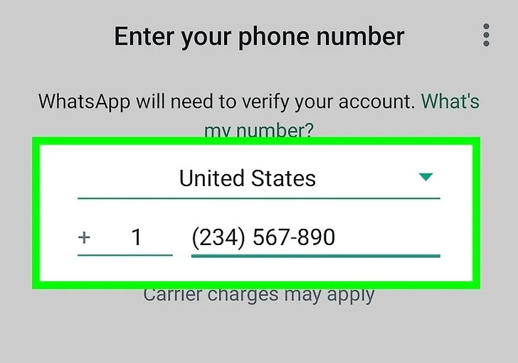 enter whatsapp phone number 