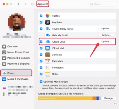 click on options next to icloud drive under icloud on your mac