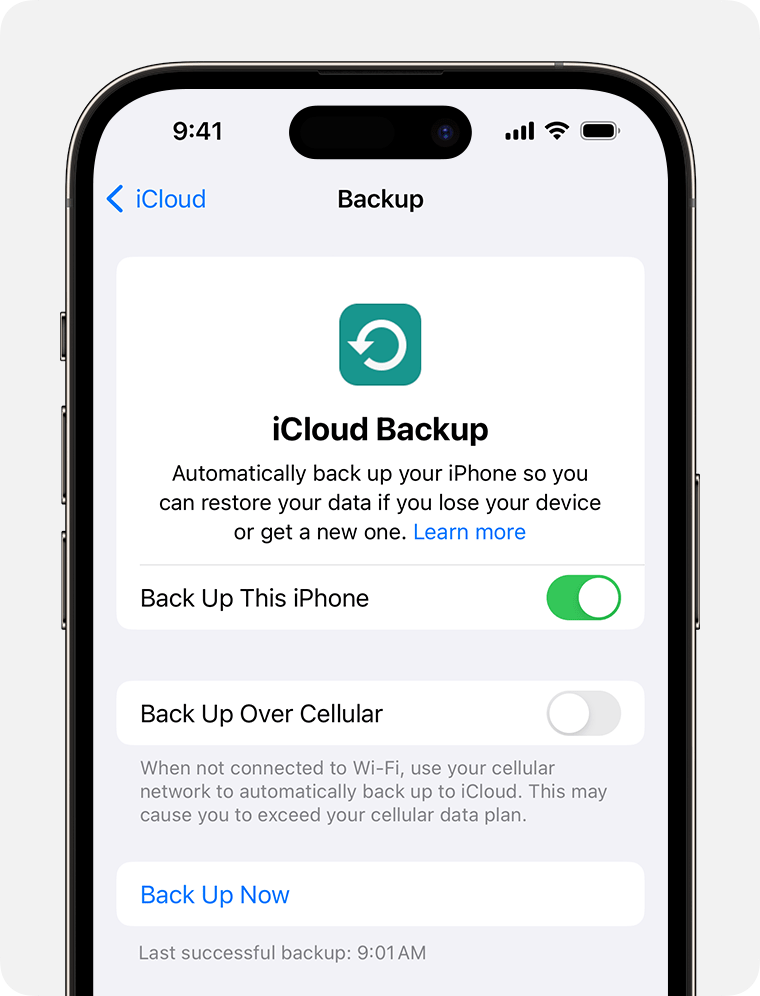 Copia de seguridad de la actualización de iOS 18