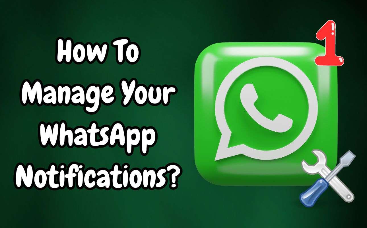 How To Manage Your WhatsApp Notifications?