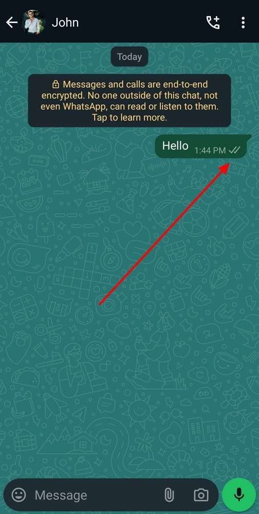 explore whatsapp read receipt