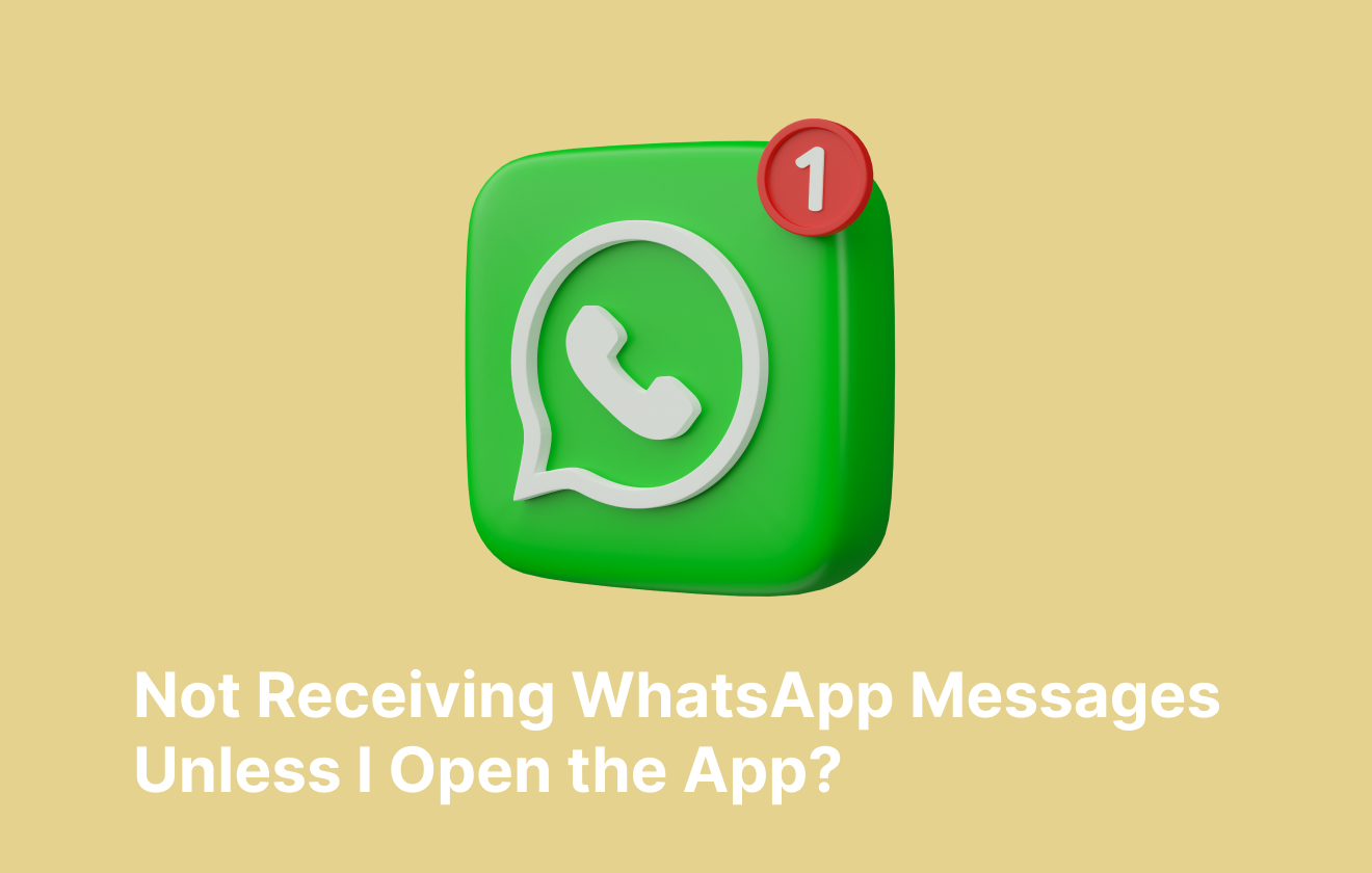 Not Receiving WhatsApp Messages Unless I Open the App