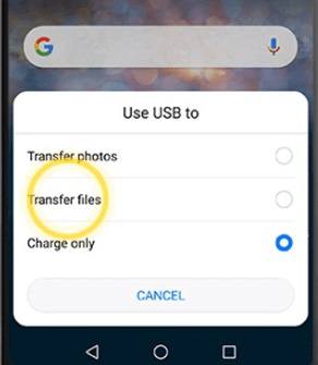 transfer files option