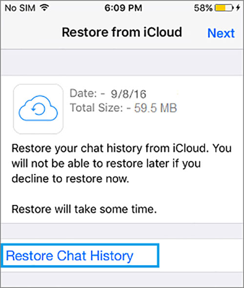 restore from icloud