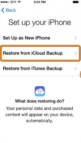 restore from icloud backup option