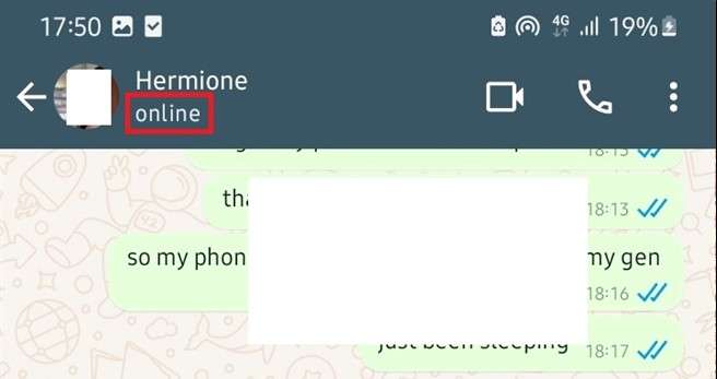 check online status directly on whatsapp