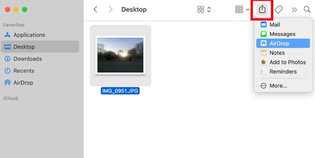 pulsa en compartir y elige enviar por airdrop, luego selecciona el destinatario del ipad para transferir el archivo