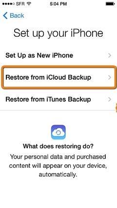 restore from icloud backup option