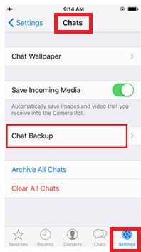 chat backup option