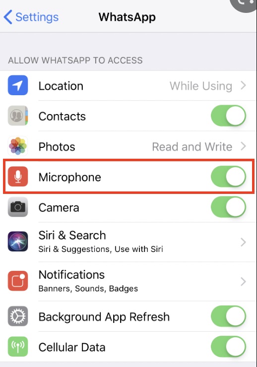 microphone toggle option in app permission