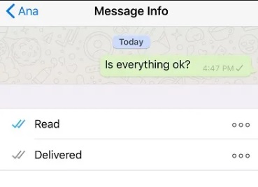 what does one tick in whatsapp mean