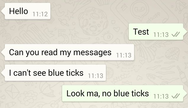 what does two ticks mean on whatsapp