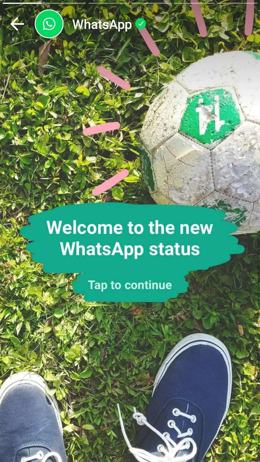 whatsapp status saving 