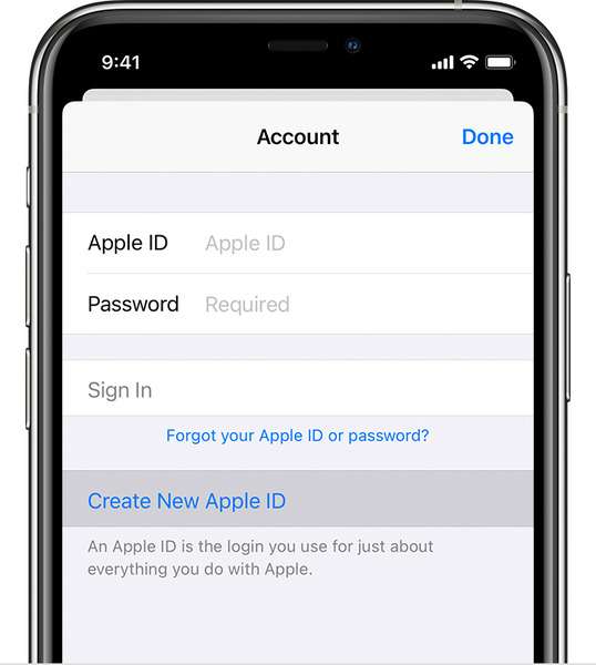 check apple account details