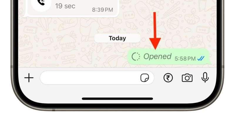 whatsapp view once opened receipt