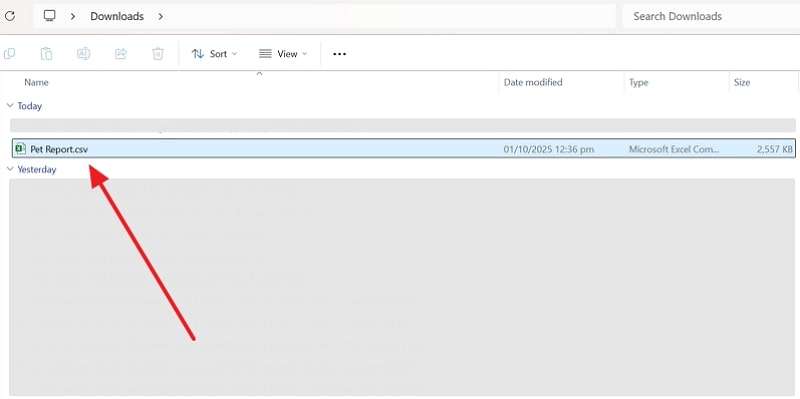 convert excel format to csv