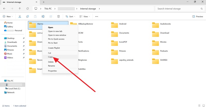 choose the copy option