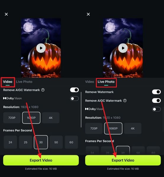 export video and image