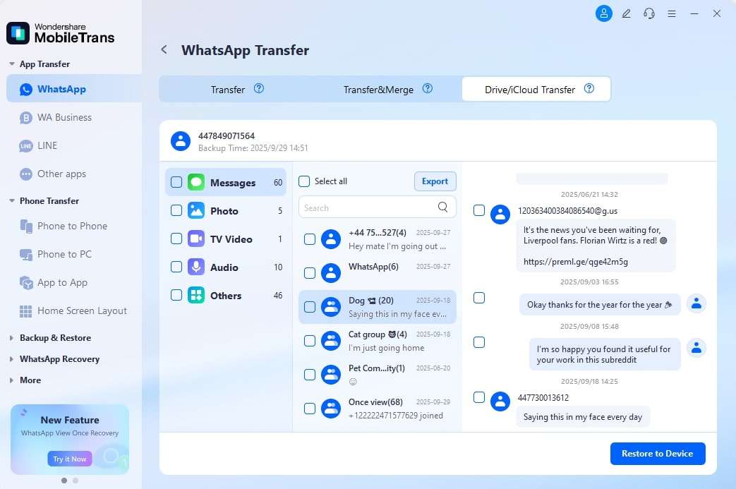 select chats to restore
