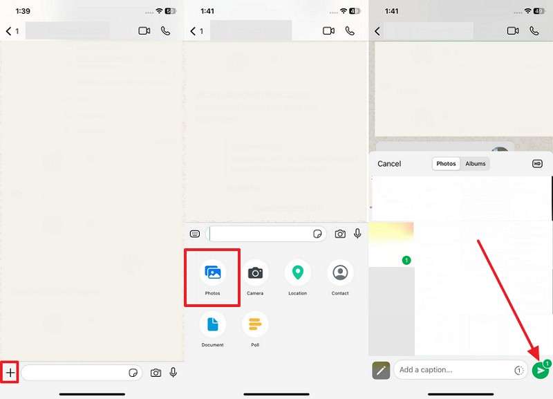 send data via whatsapp