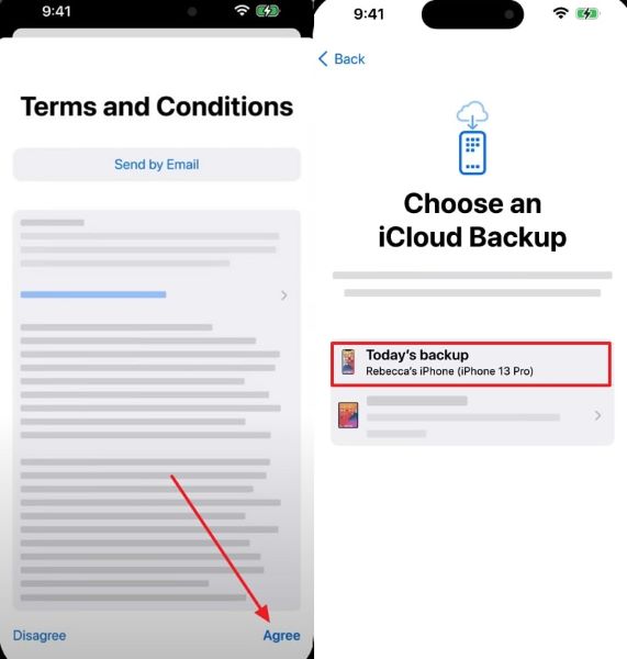 choose backup after agree option