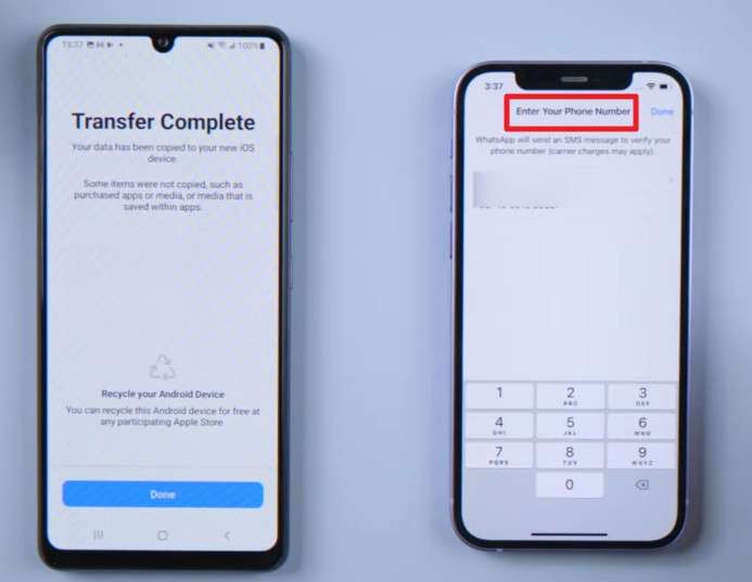 choose whatsapp option