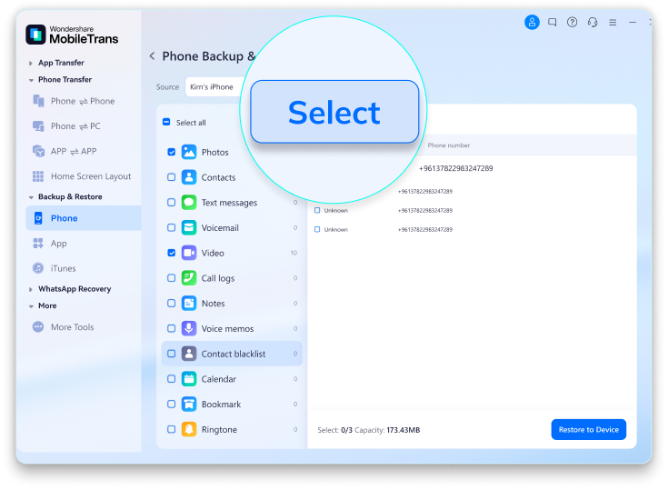 Phone data restore preview