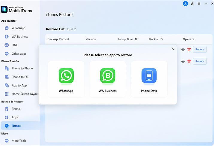 Restore from Backup Step 2 preview