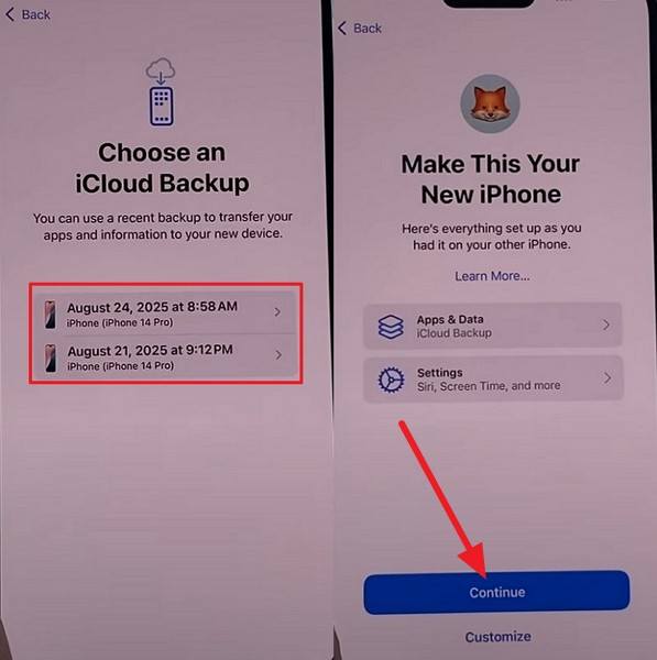 select backup and continue
