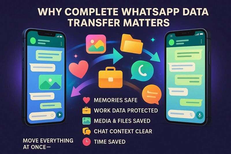 why move whatsapp media