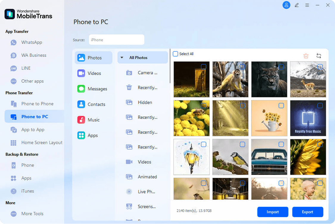 transfer photos with metadata
