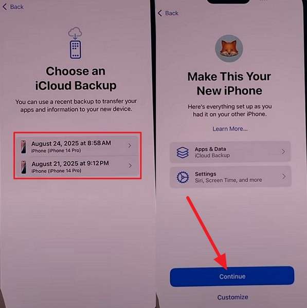 choose backup and continue
