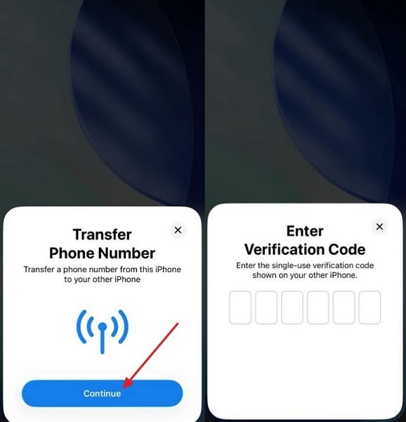 enter verification esim transfer code