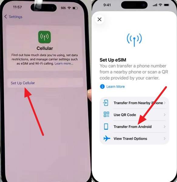 transfer and setup cellular