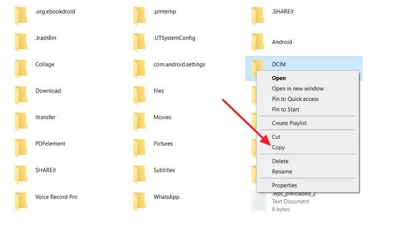 copy the dcim folder