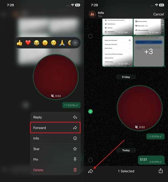 iphone whatsapp forward video note