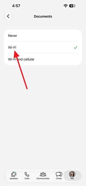 WhatsApp Storage Not Decreasing on iPhone? How to Fix It
