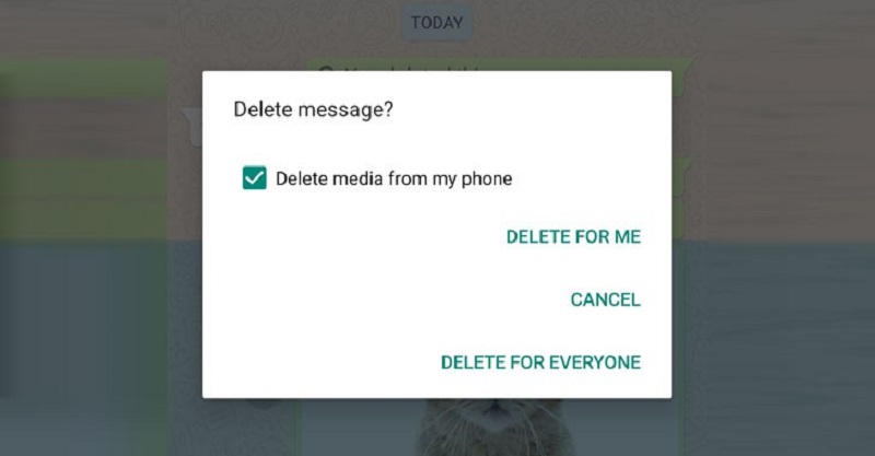 delete for everyone whatsapp feature